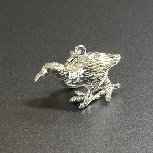 NZ Sterling Silver Weka Bird Charm